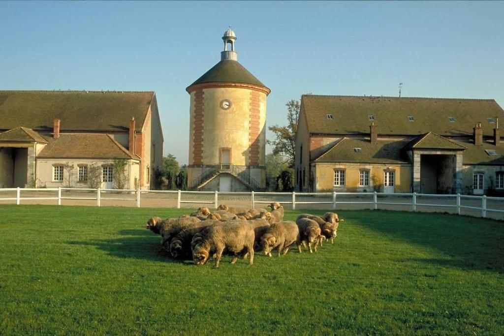 Gite De L'Alisier - Rambouillet - Eksteriør bilde